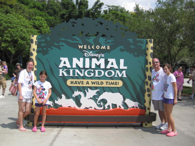 Front Entrance Animal Kingdom Vacation Pictures Disney World Live